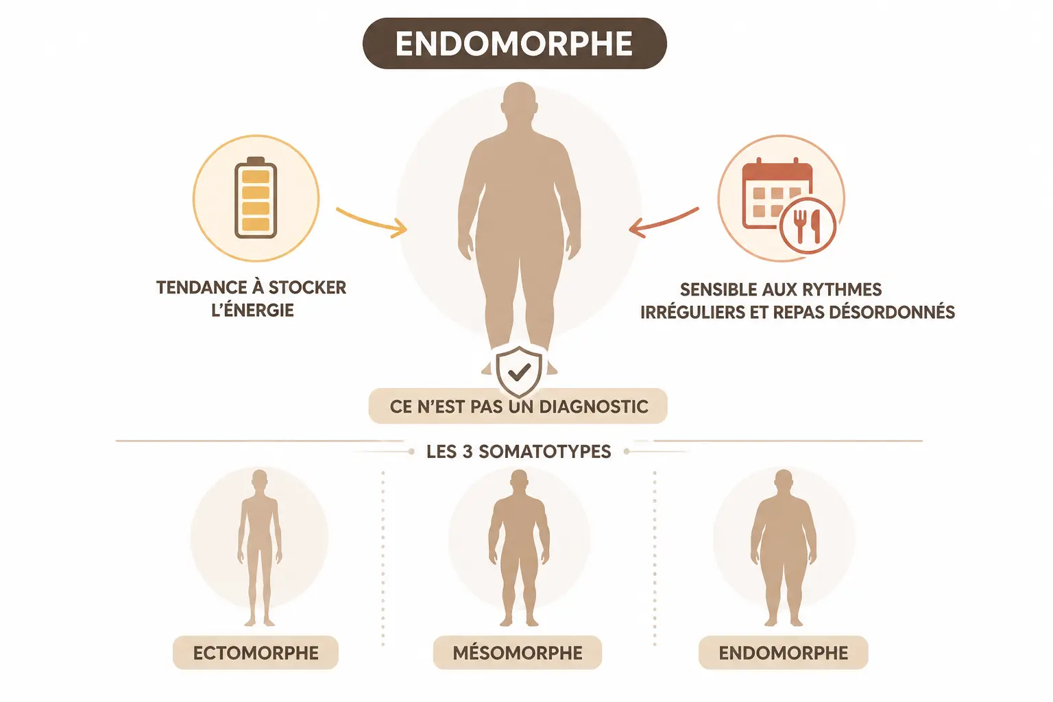 Endomorphe : définition simple, repères utiles et limites du concept