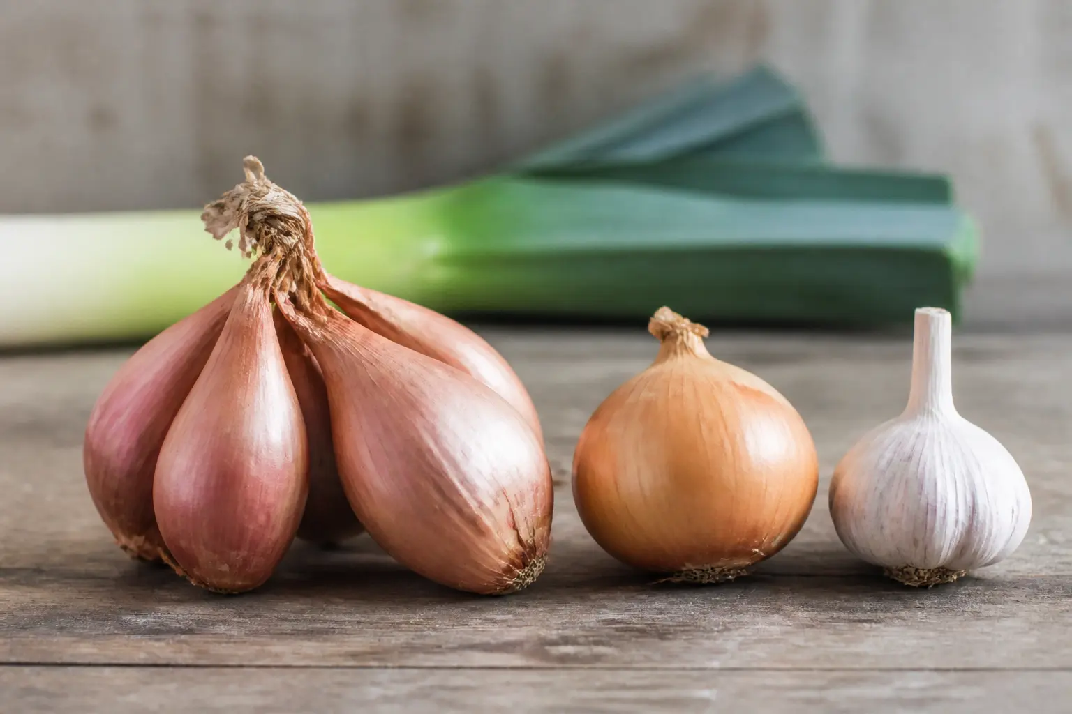 Qu’est-ce que l’échalote ? Définition, origine et différence avec l’oignon