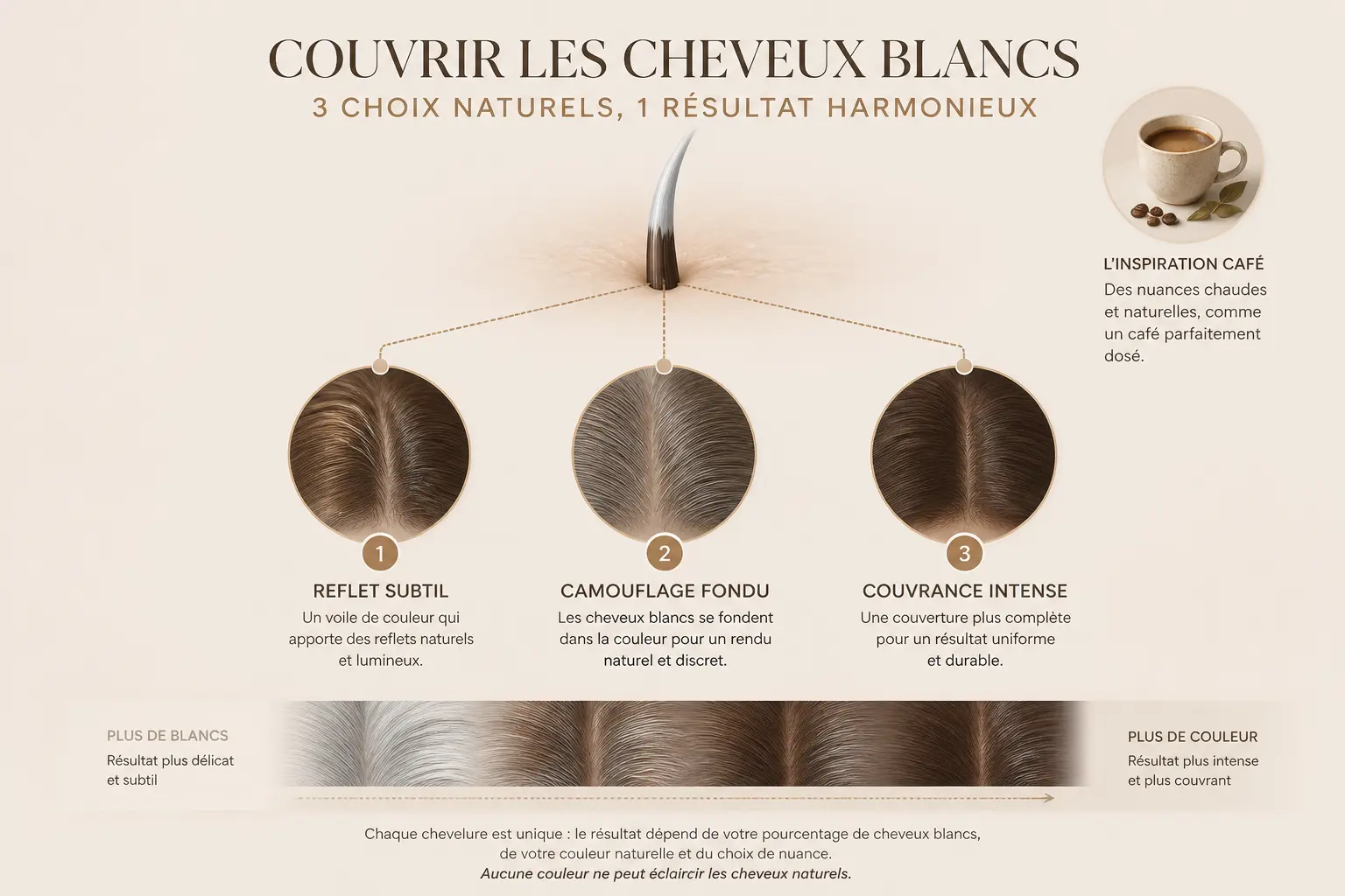 Colorer les cheveux blancs naturellement : schéma de couverture en 3 effets, reflet, camouflage et couvrance