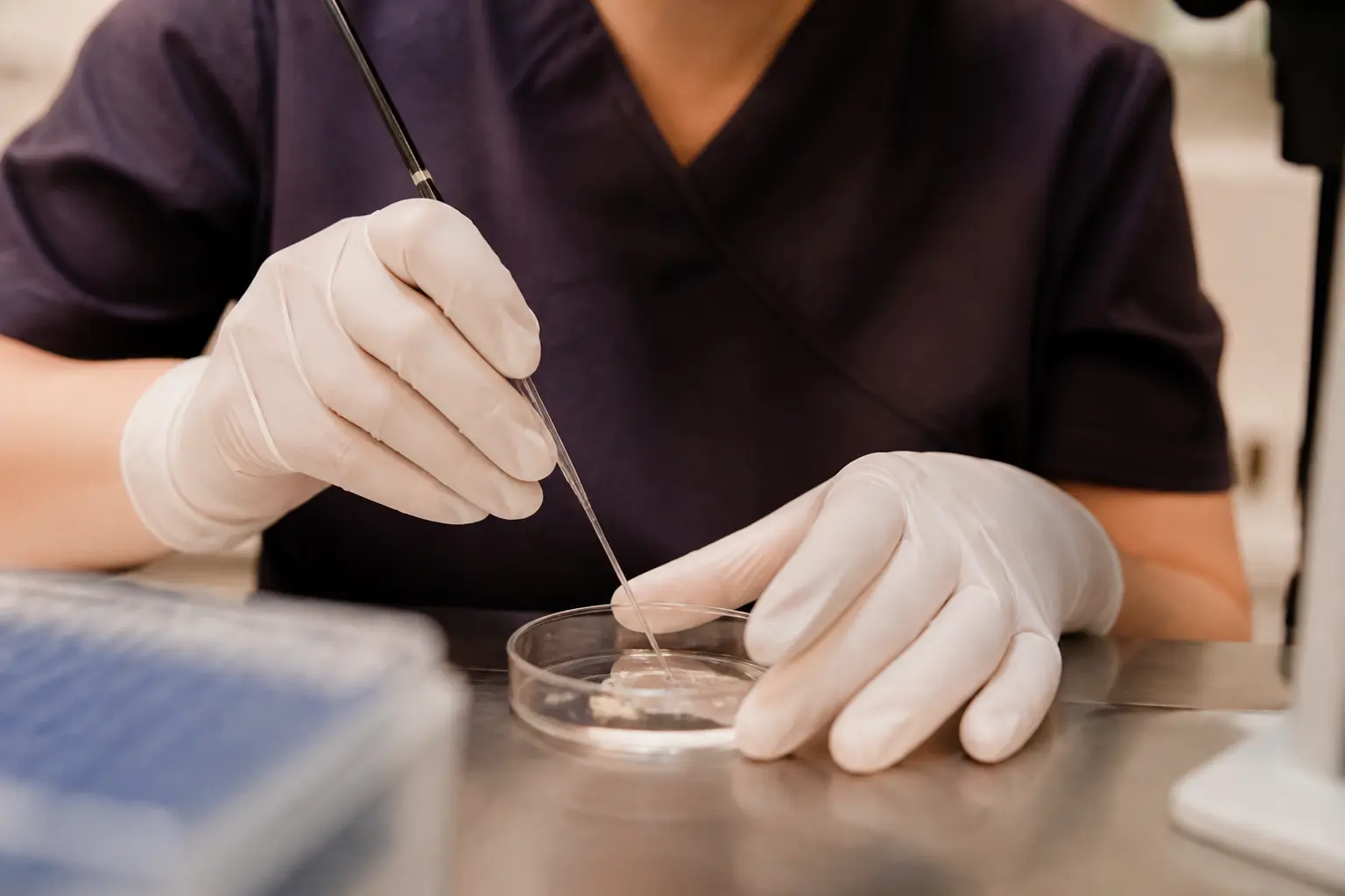 Embryologiste en laboratoire de fiv manipulant une boîte de Petri, gros plan clinique et lumineux