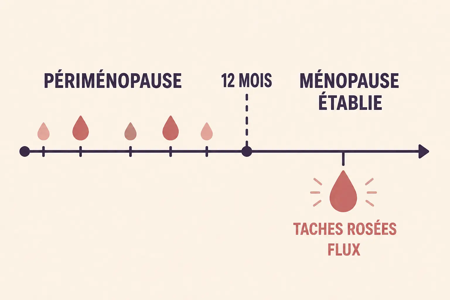 Timeline médicale de la périménopause à 12 mois sans règles, puis saignements bénins ménopause signalés par une goutte de sang et taches rosées.